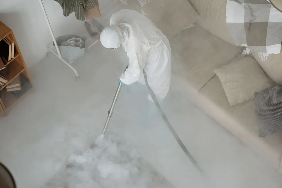Biohazard Cleanup in Historic Hyde Park, Tampa, FL